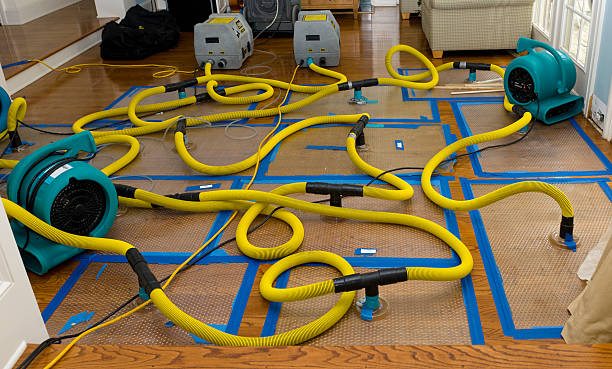 Professional Water Damage Repair technician working in Raymond, ME
